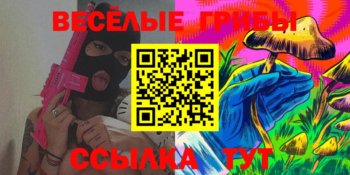 Черняховск  Псилоцибиновые грибы Cubensis  Вход с VPN 